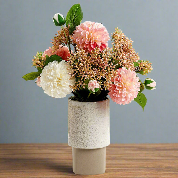 Arreglo de Plantas Decorativas