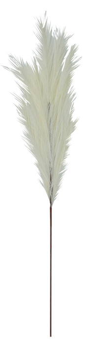 Carrizo Beige