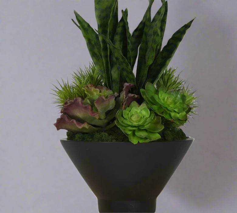 Arreglo de Plantas Decorativas 11