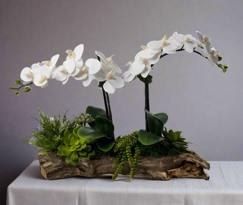Arreglo de orquídeas