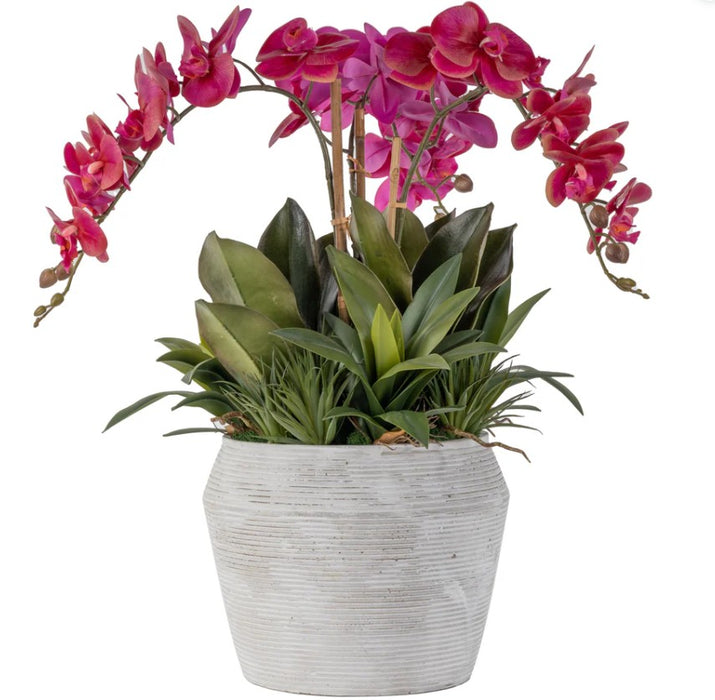 Arreglo de Plantas Decorativas 04