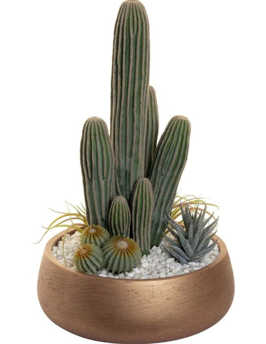 Arreglo de Plantas Decorativas 05