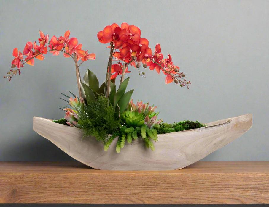 Arreglo de Plantas Decorativas 10