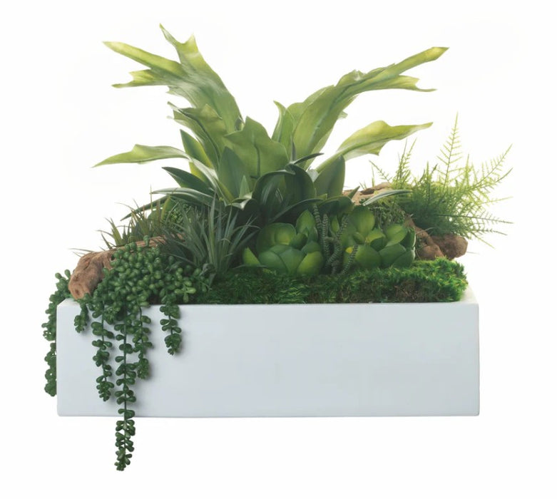 Arreglo de Plantas Decorativas 26