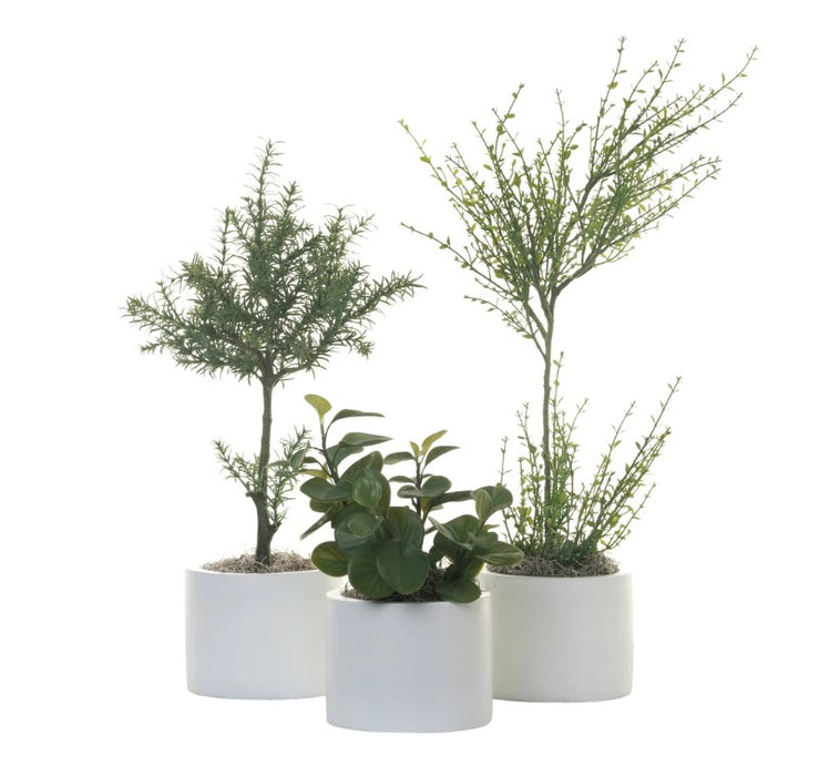 Maceta Decorativa 20
