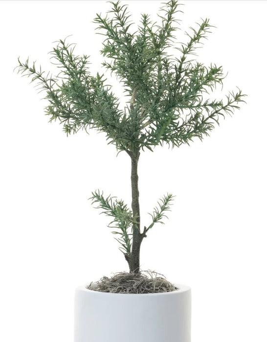 Maceta Decorativa 04