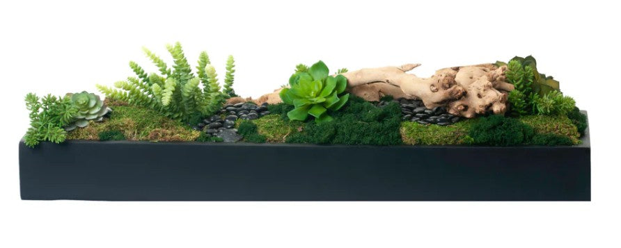 Arreglo de Plantas Decorativas 28