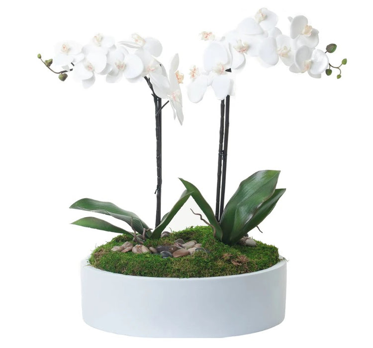 Maceta Decorativa 37