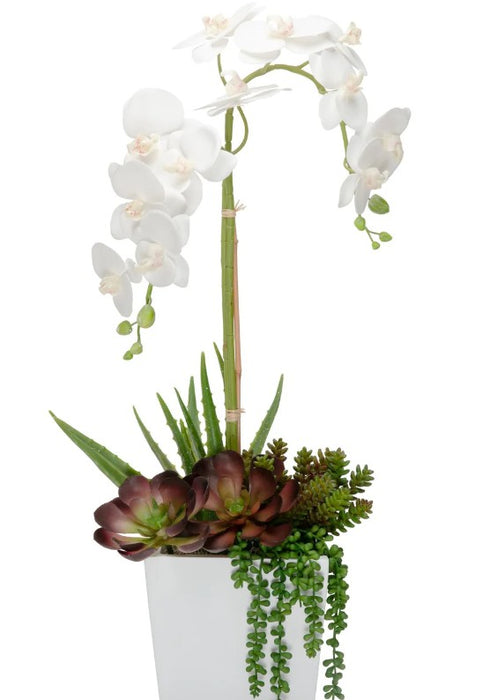 Maceta Decorativa Logan Con Orquidea