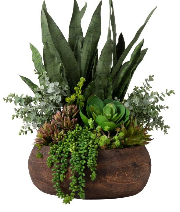 Arreglo de Plantas Decorativas 31