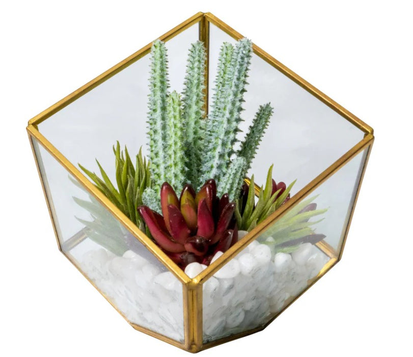 Arreglo de Plantas Decorativas 15