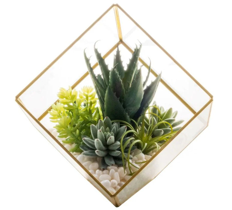 Arreglo de Plantas Decorativas 34