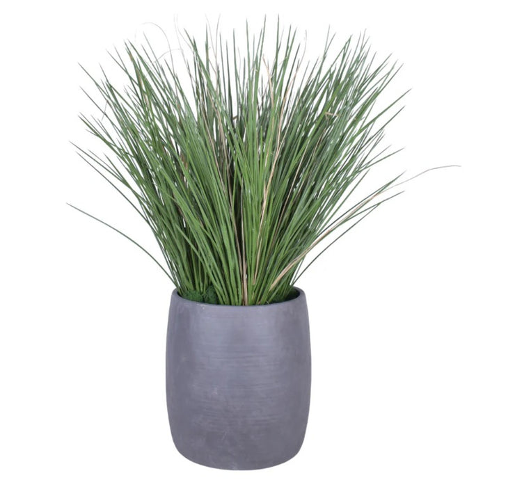 Maceta Decorativa 23