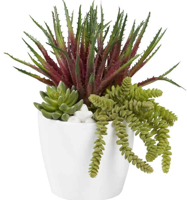 Arreglo de Plantas Decorativas 30