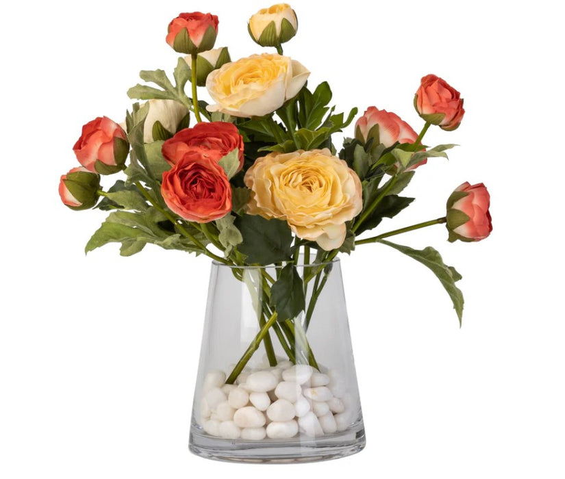 Arreglo de Plantas Decorativas 20