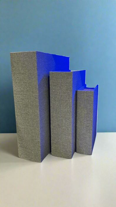 Juego de Libros decorativos