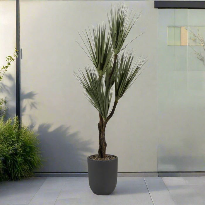 Arbol De Yucca En Macetero Pequeño Redondo Color Gris