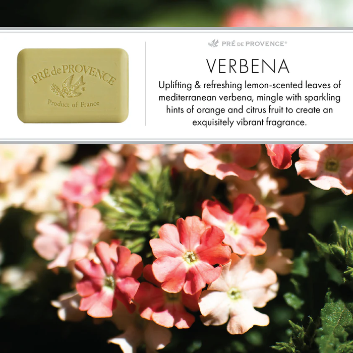 25G SOAP - VERBENA