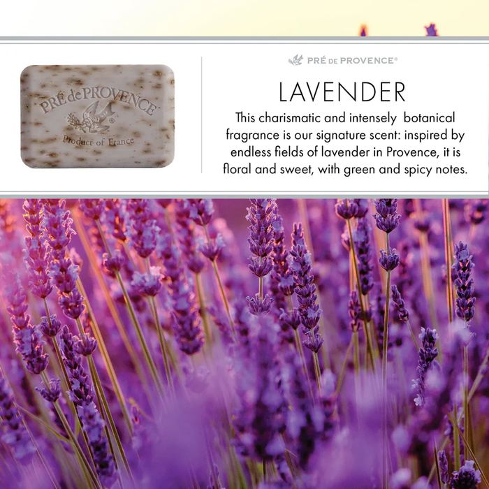 25G SOAP - LAVENDER