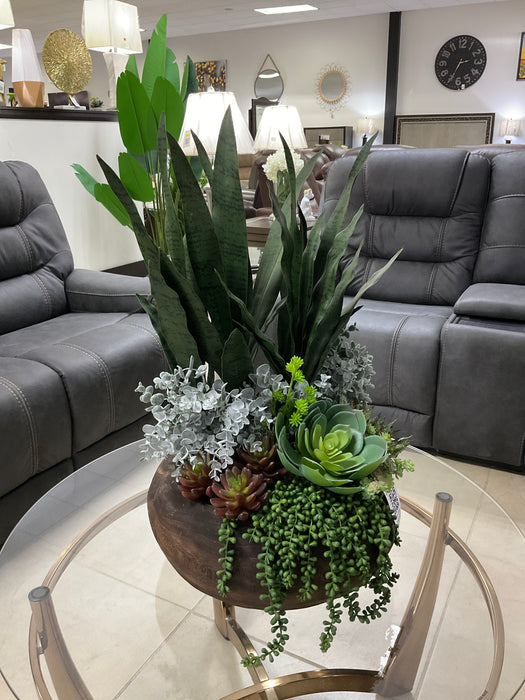 Arreglo de Plantas Decorativas 31