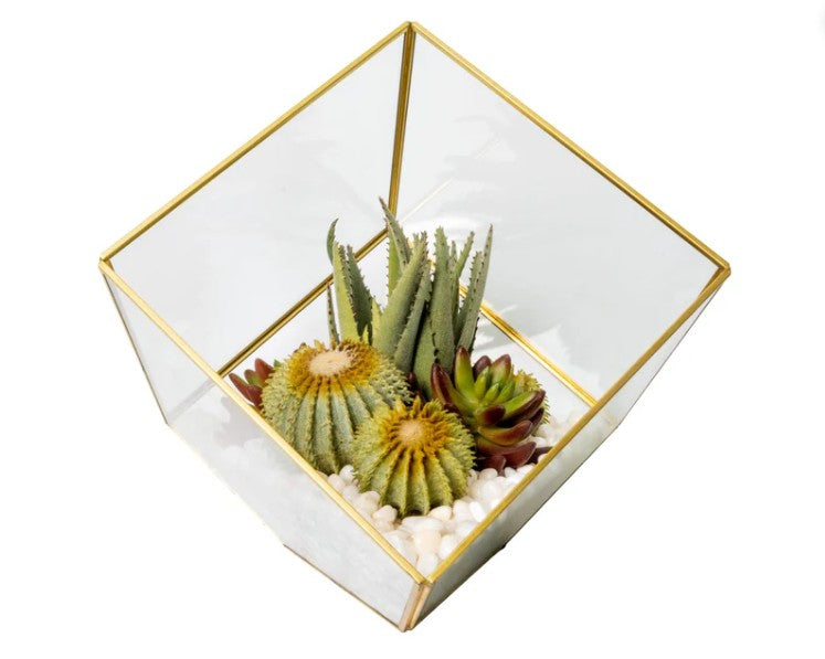 Arreglo de Plantas Decorativas 12