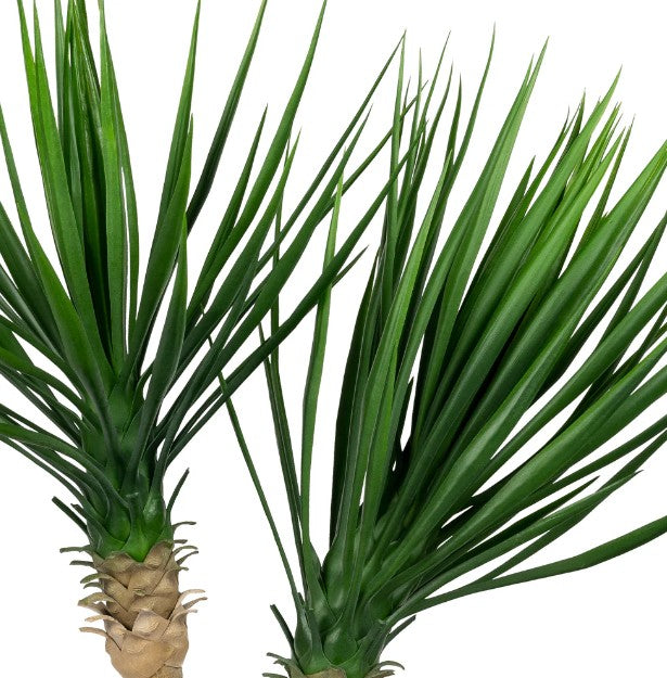 Arbol Decorativo Modelo Yucca