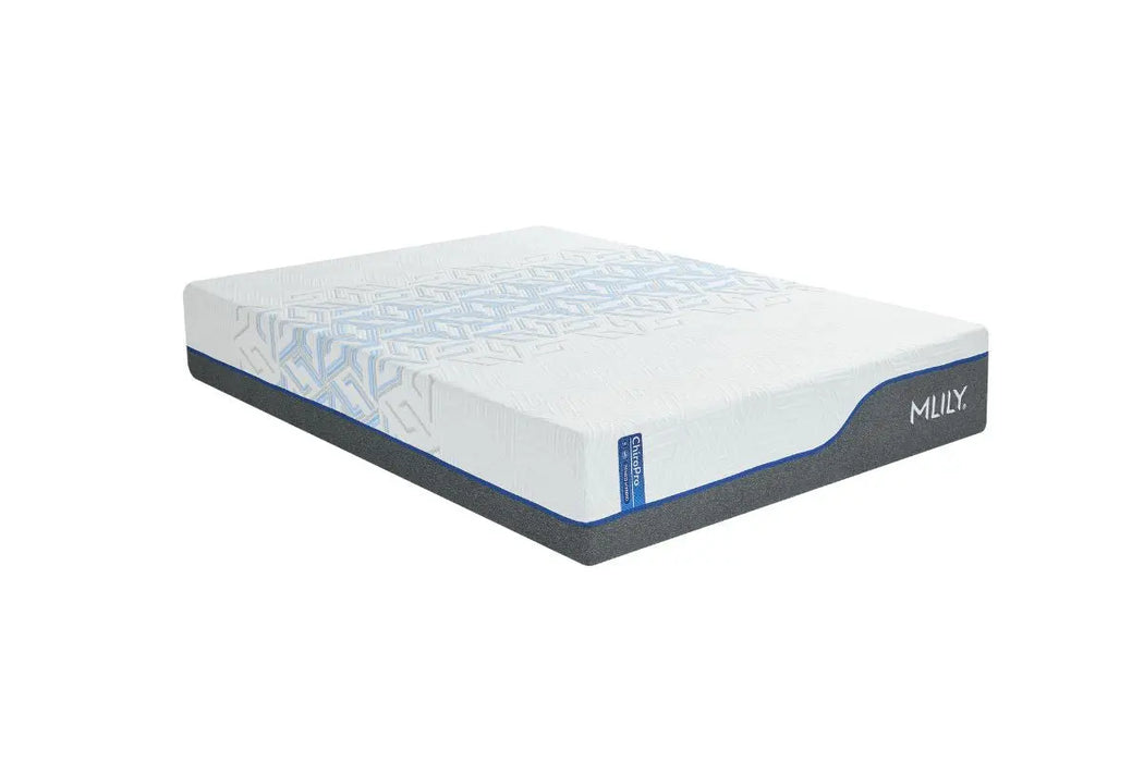 Chiro Pro 3.0 13" Plush Queen