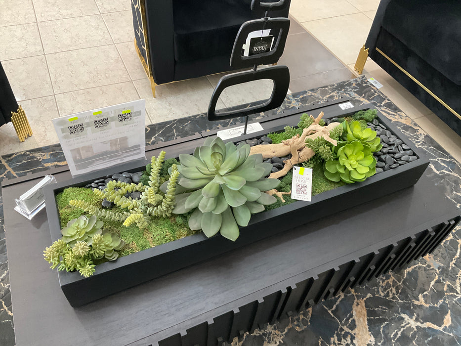 Arreglo de Plantas Decorativas 28