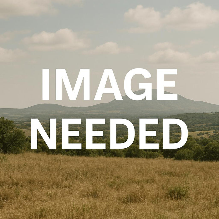 Ottoman Passport Blanco